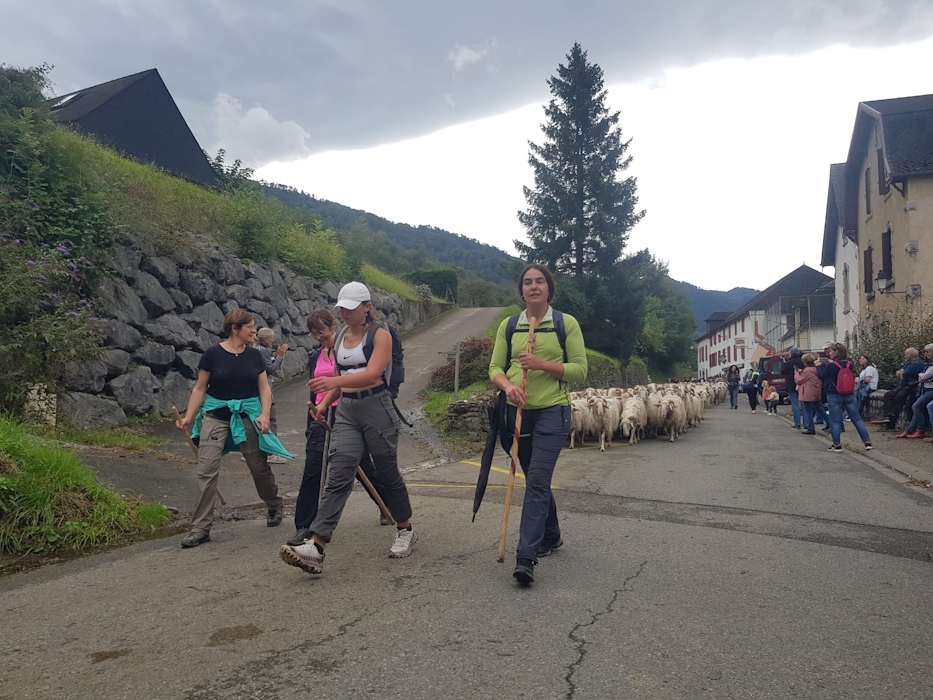 Bortükako bestak arrakasta ejerra